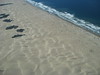 amy > Oceano and Catalina Island- Oct 5-7 photo